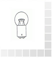 Bulb 17