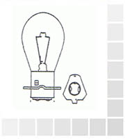 Bulb 21