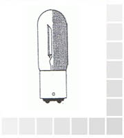 Bulb 25