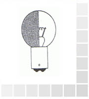 Bulb 26