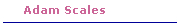Adams Scales